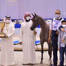 Yearling Filly Silver Champion: D Beisan (D Seraj X RAH Rosalia) 