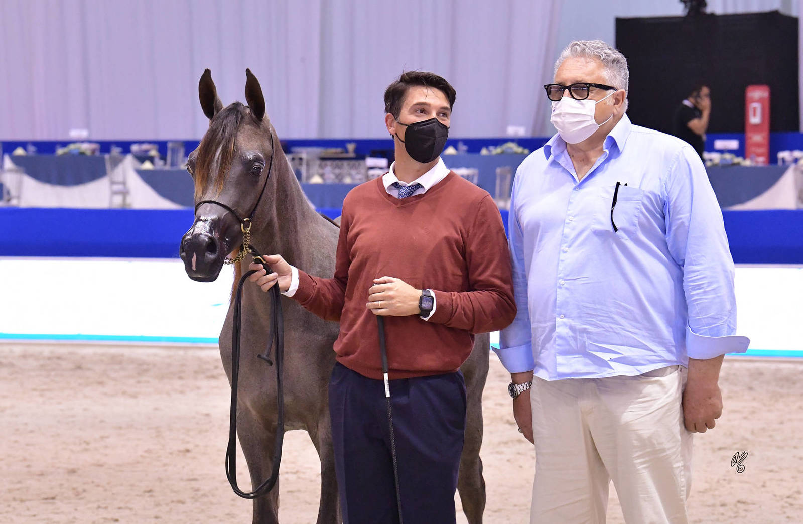 Yearling Filly Silver Champion: D Beisan (D Seraj X RAH Rosalia) 