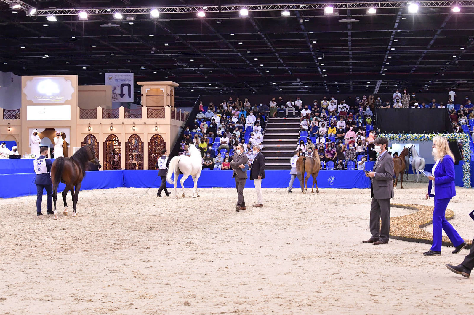 The 2021 Dubai International Arabian Horse Championship PHOTO GALLERY