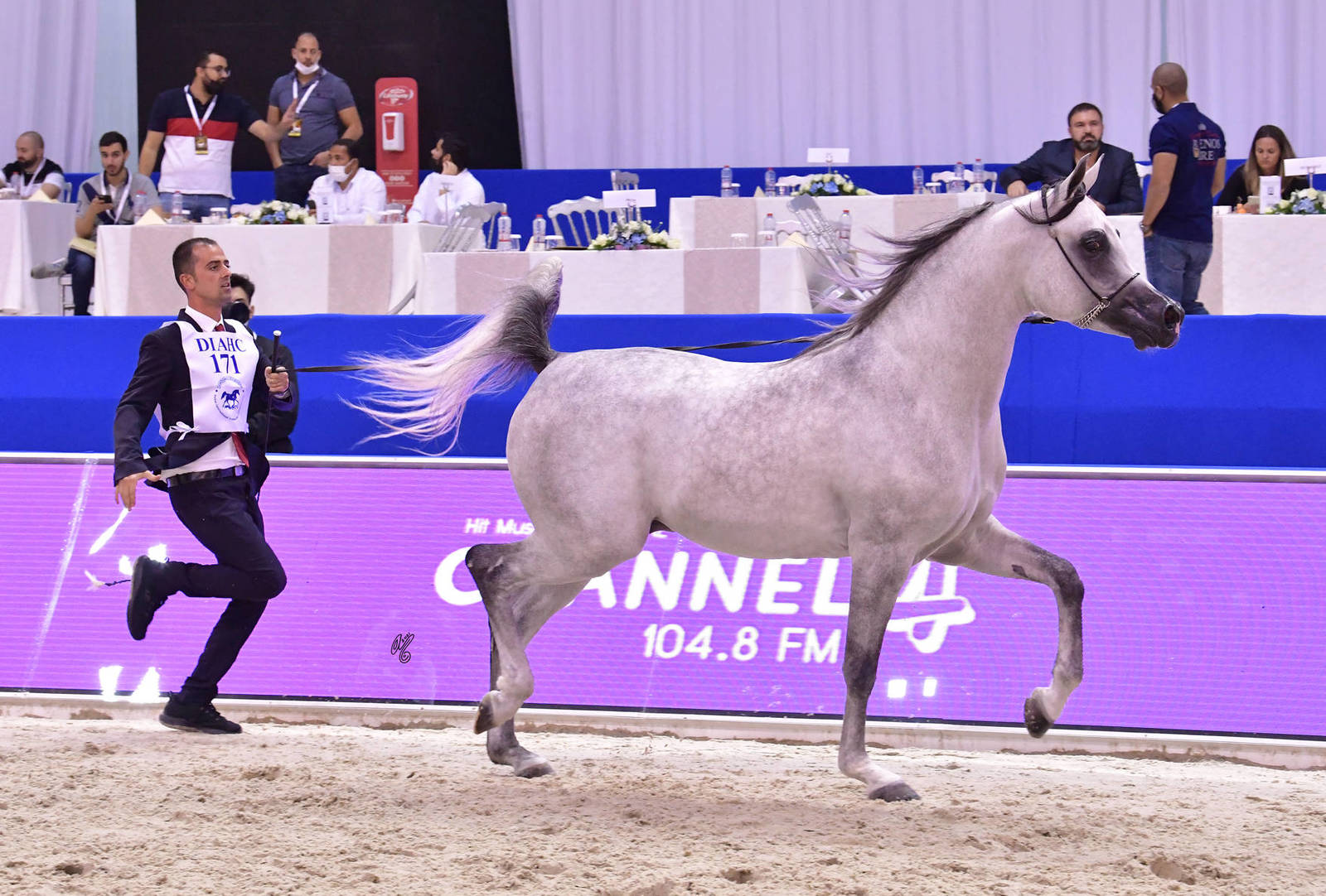 Colts 3 Years Old: Fakher Albateen 