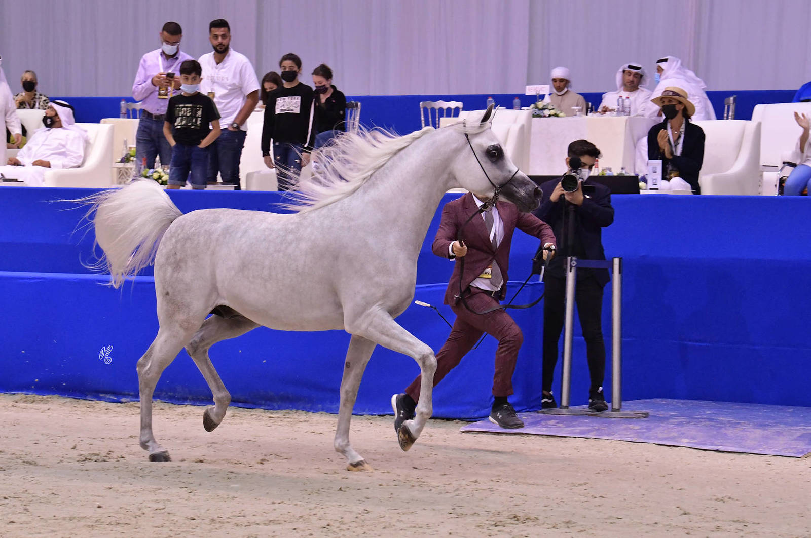 Colts 2 Years Old: AJ Ajban 