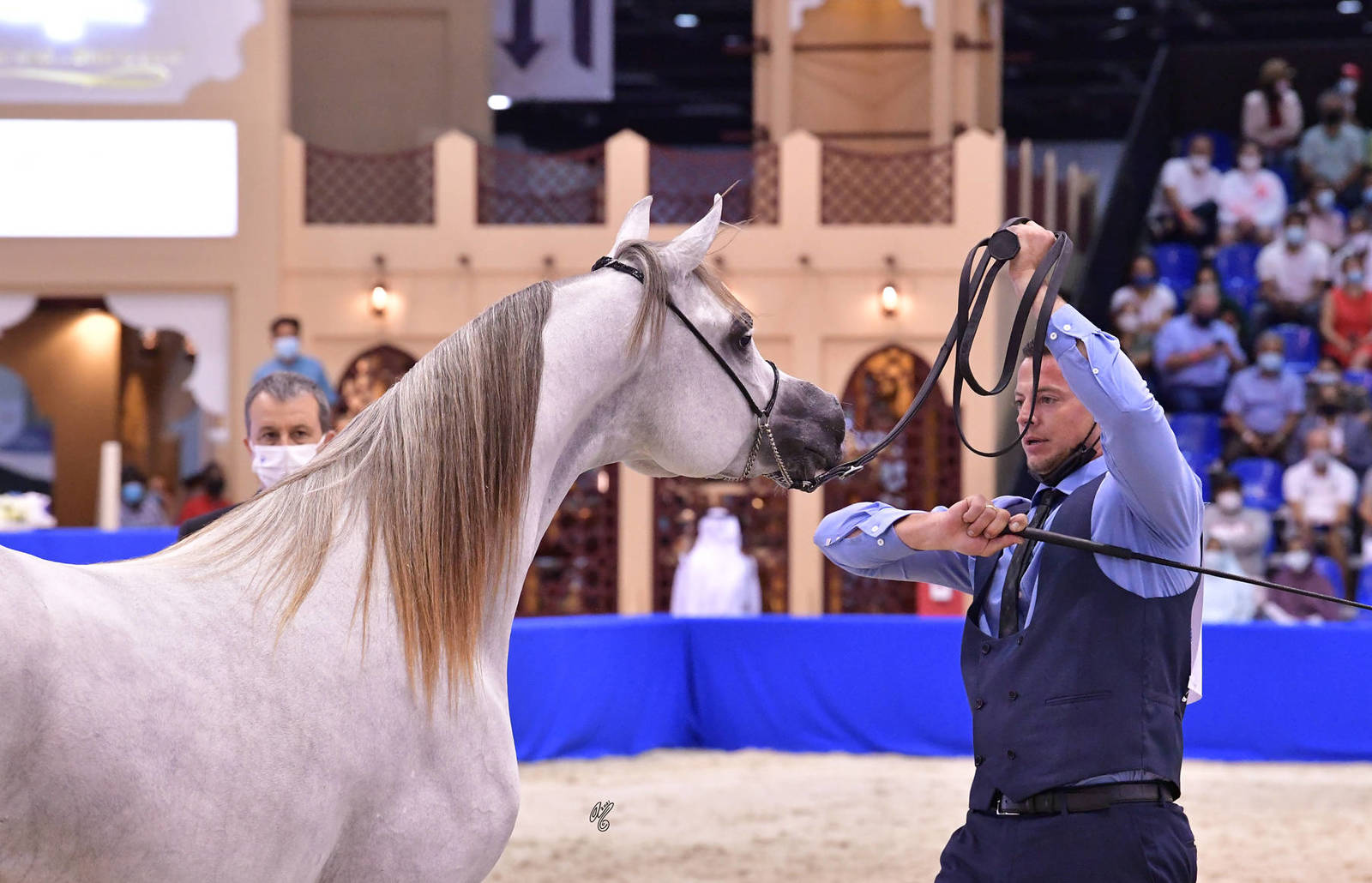 Colts 2 Years Old: AJ Sabran 