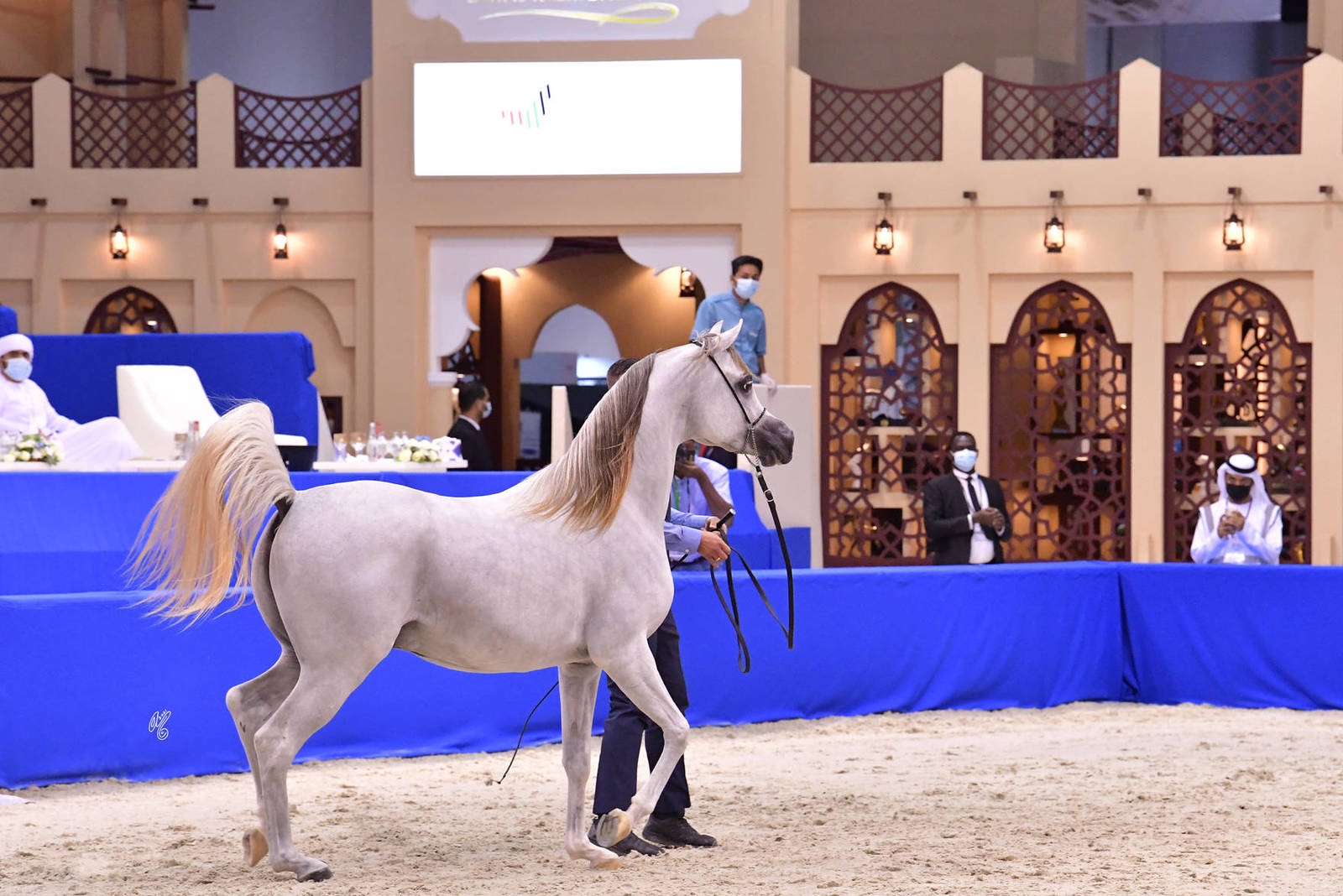 Colts 2 Years Old: AJ Sabran 