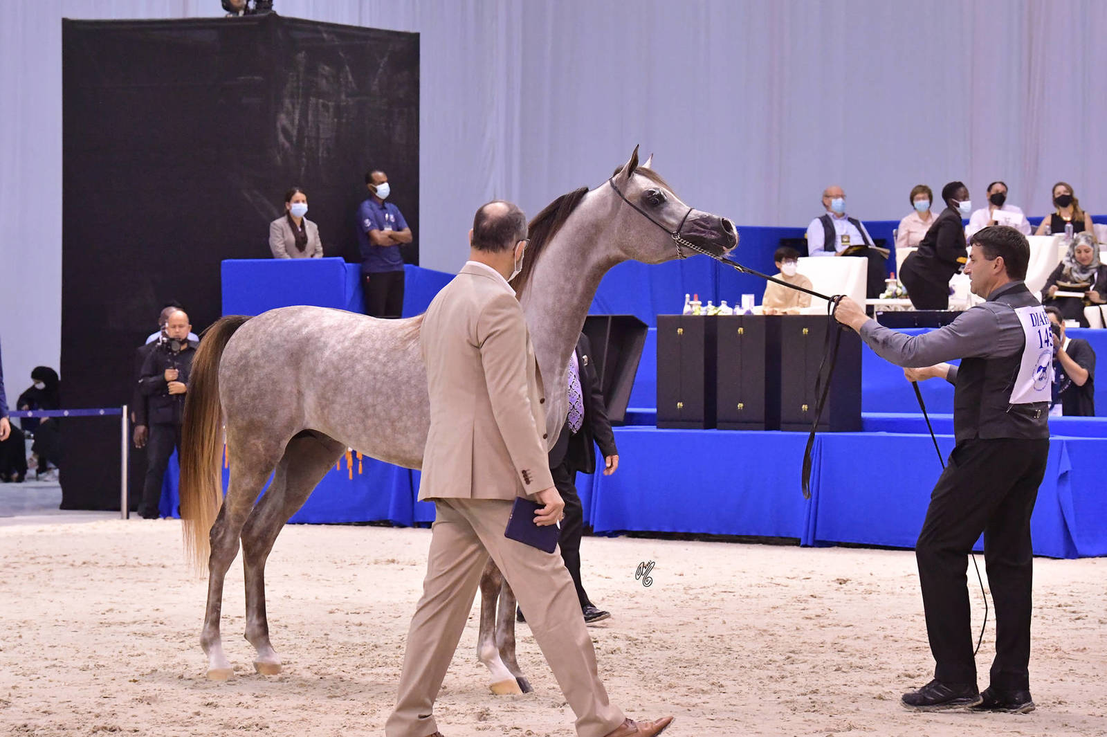 Colts 2 Years Old: AJ Redan 