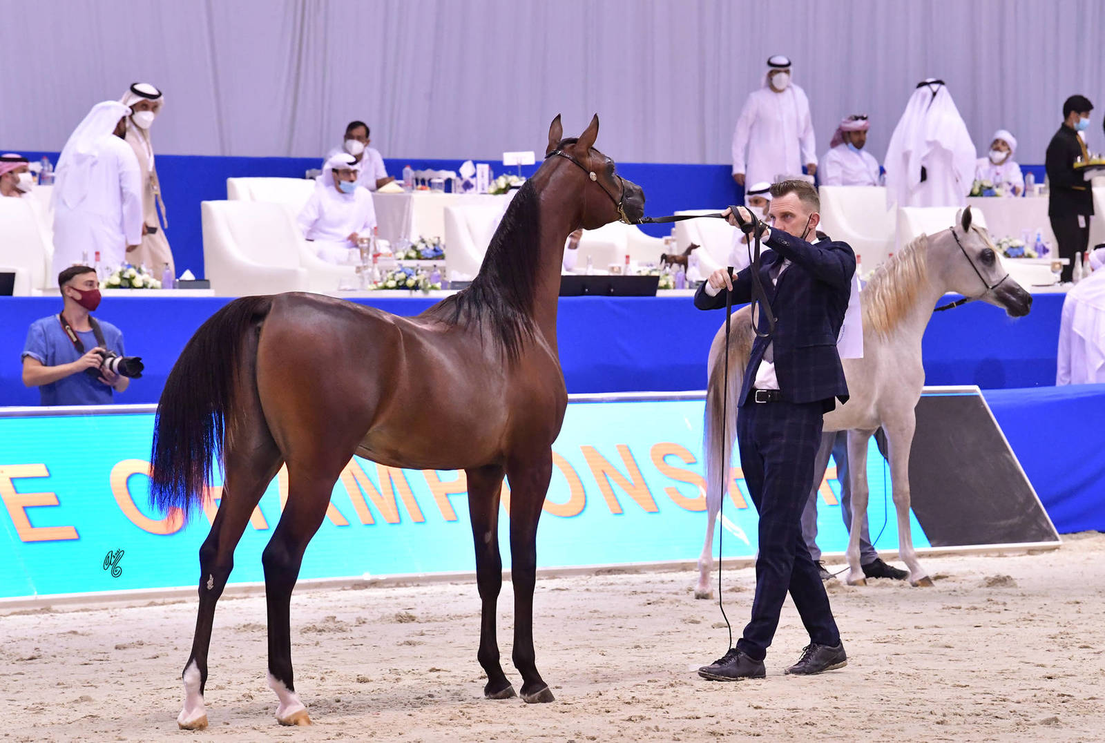 Yearling Colt: Duryab Al Hawajer 