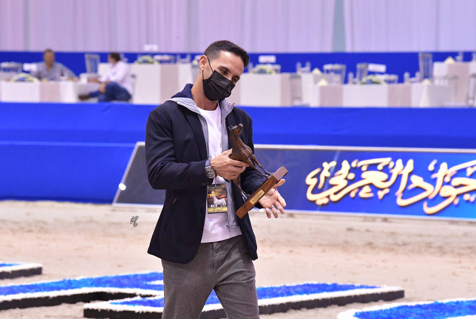 Yearling Colt: FAM Coronado 