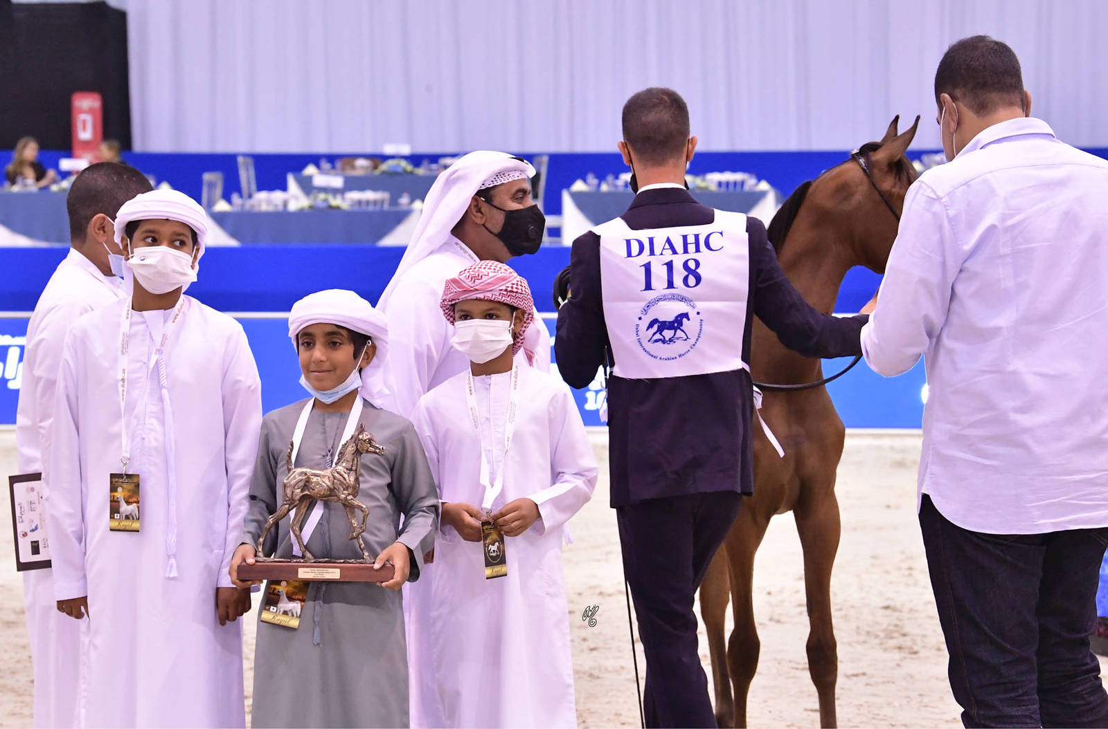 Colt Foal: Musaab OS