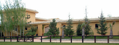 Jordan - The stables at Royal Jaafar Stud 