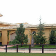 Jordan - The stables at Royal Jaafar Stud 