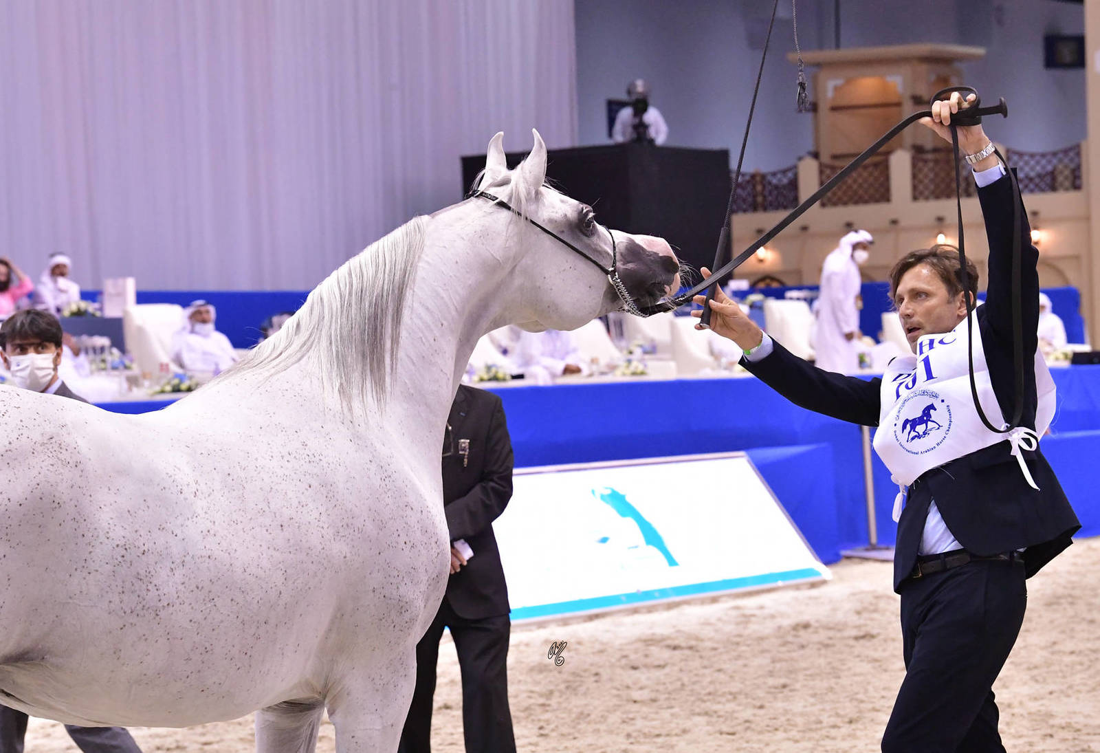 Mares 10 Years and More: Amirat Aljanadreyah Althaniya