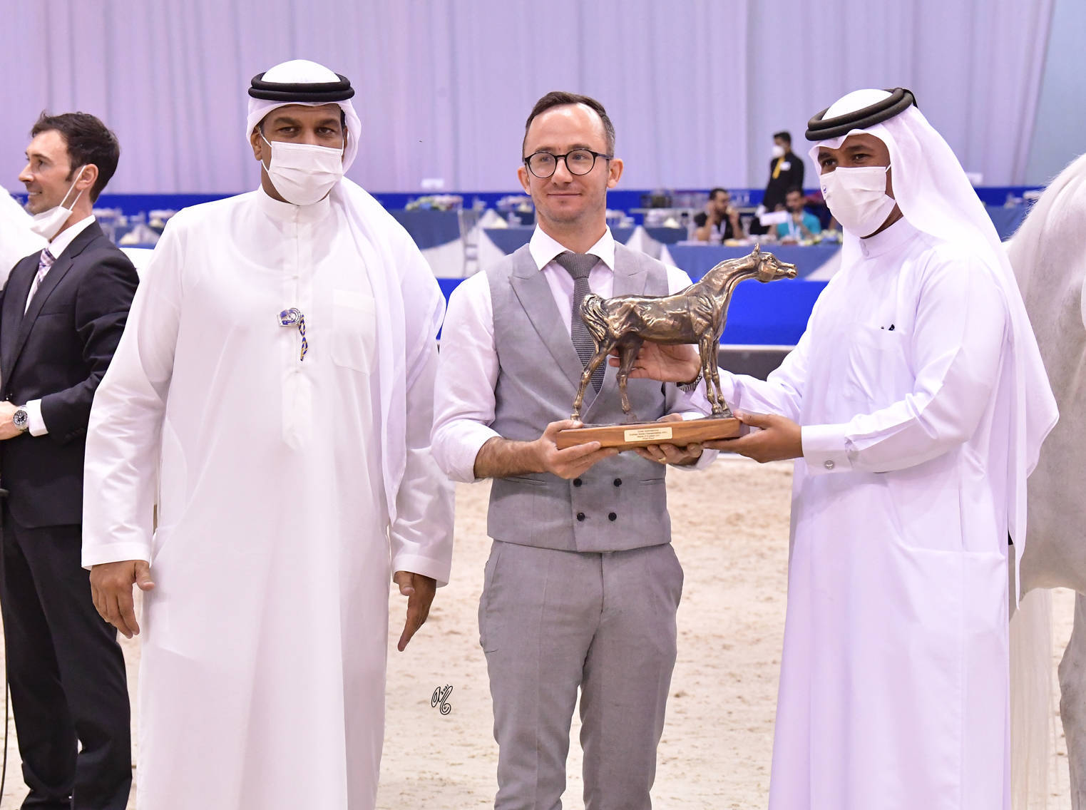 Mares 7-9 Years Old: Wildona 