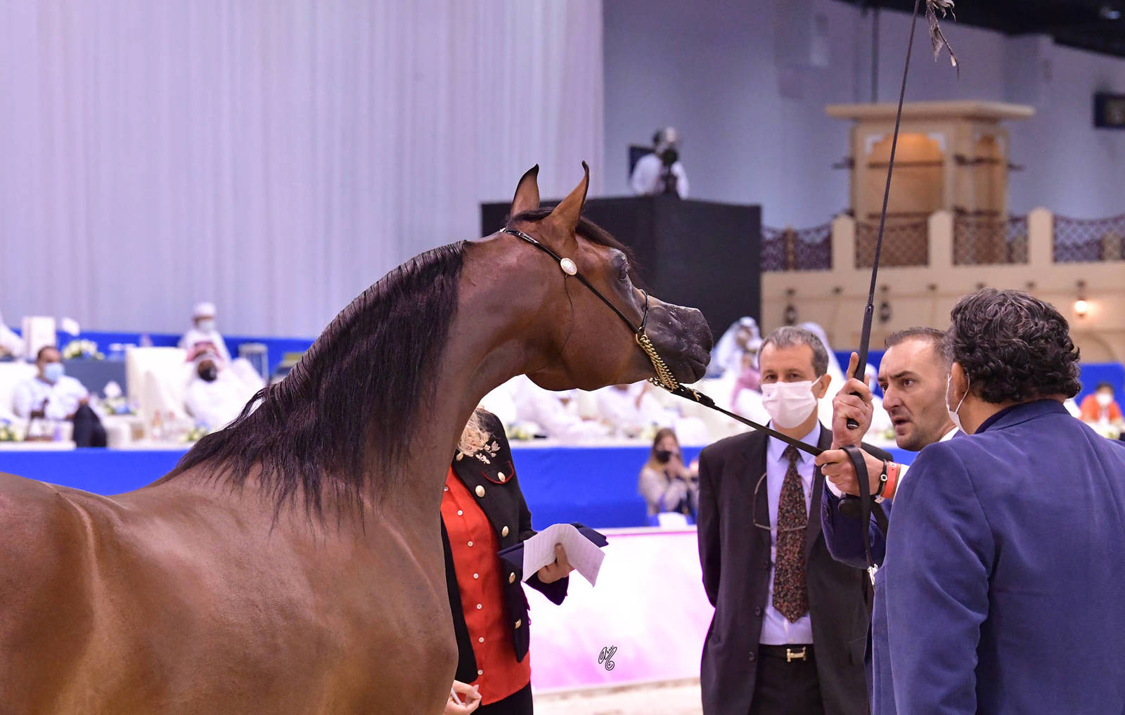 Fillies 2 Years Old: RD Natoria