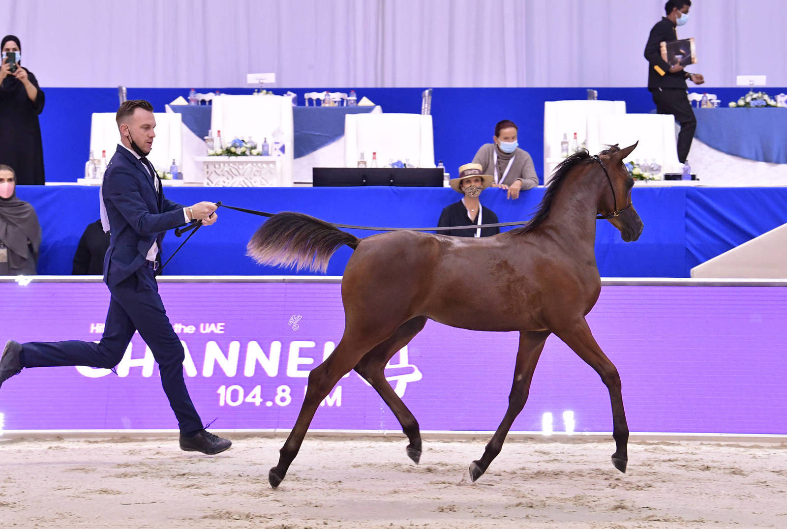 Filly Foal: Dhai Al Hawajer 