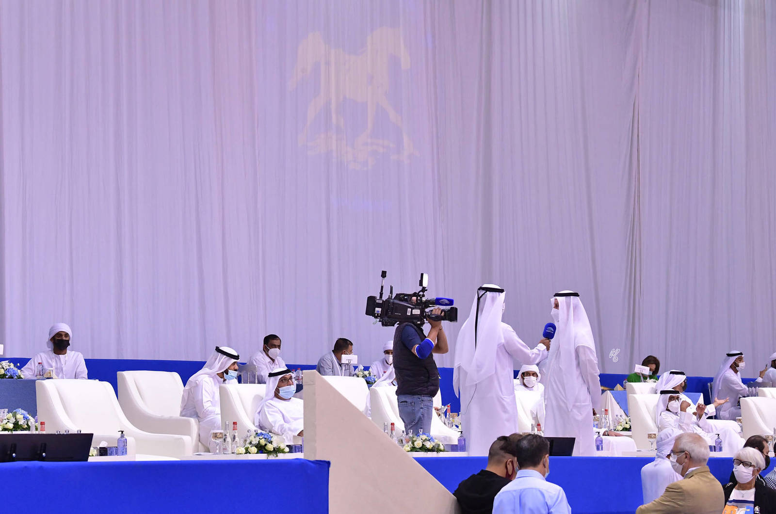 The 2021 Dubai International Arabian Horse Championship PHOTO GALLERY