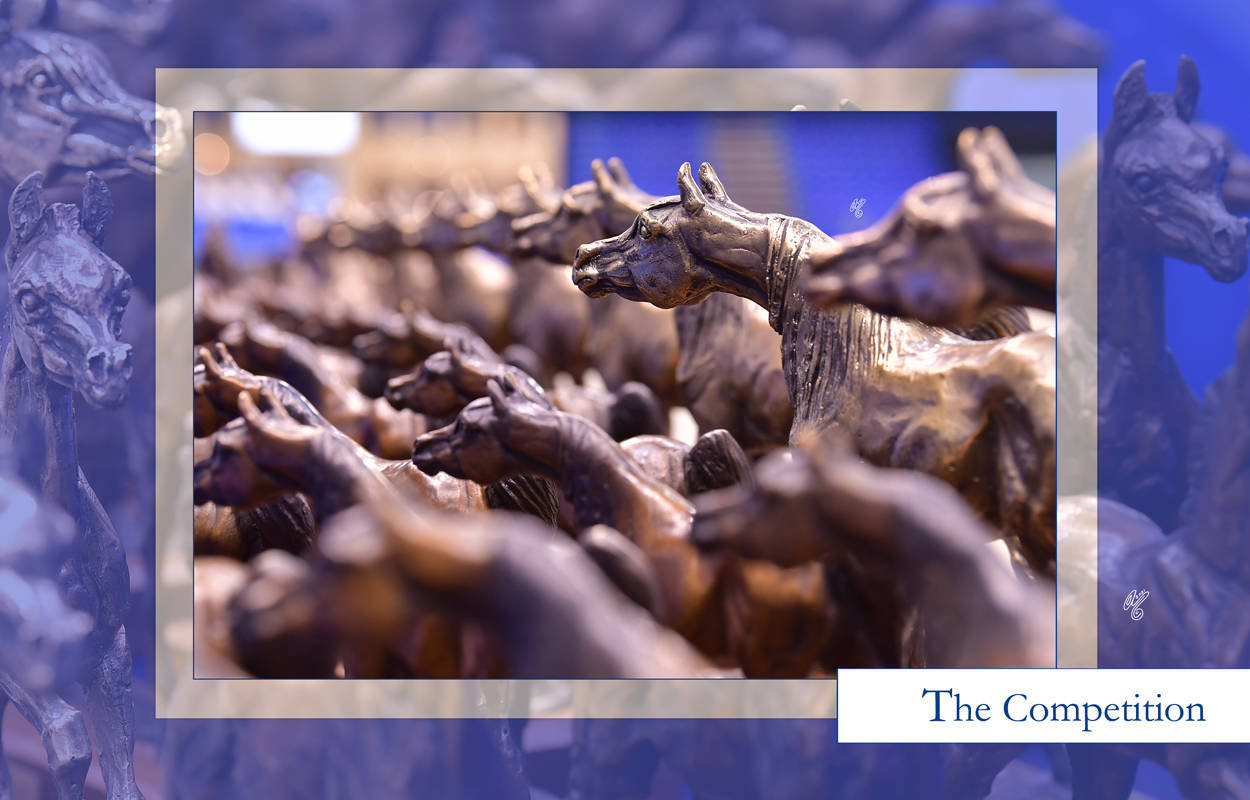 The 2021 Dubai International Arabian Horse Championship PHOTO GALLERY