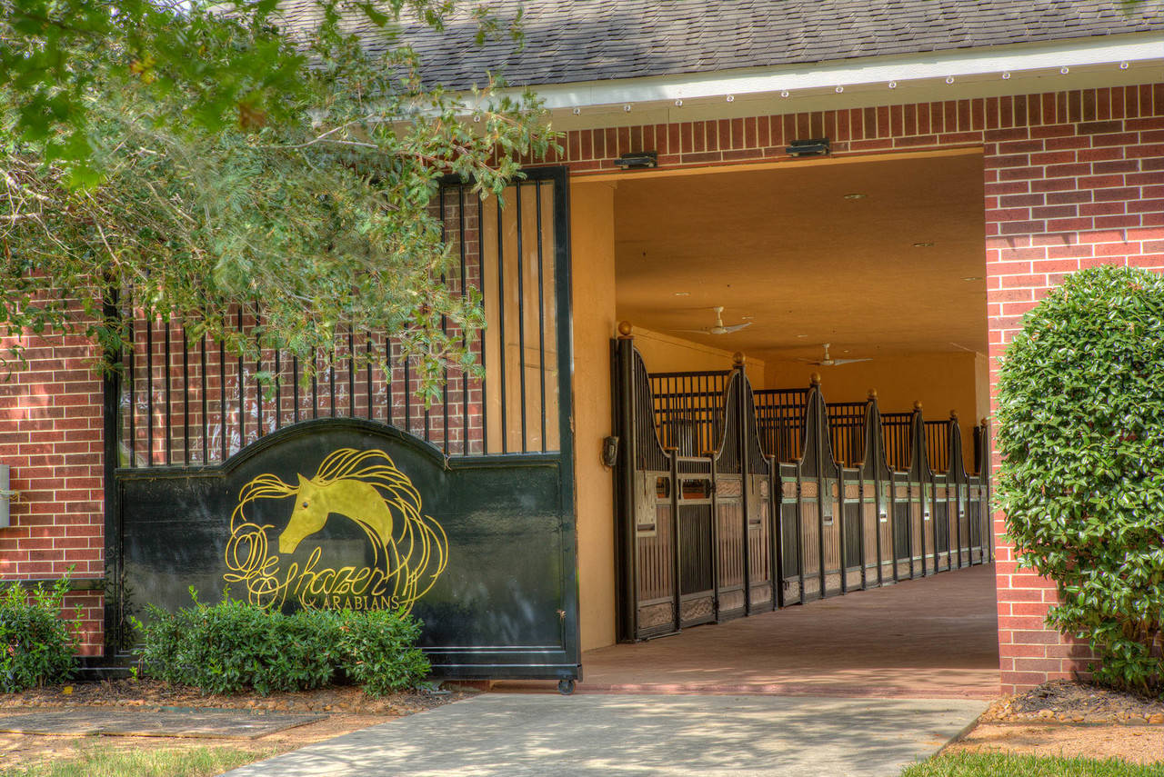 DeShazer Arabians