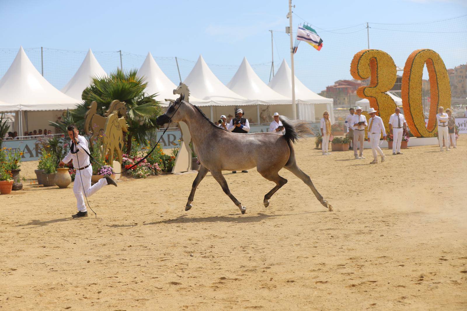 2021 Menton Arabian Horse Show 