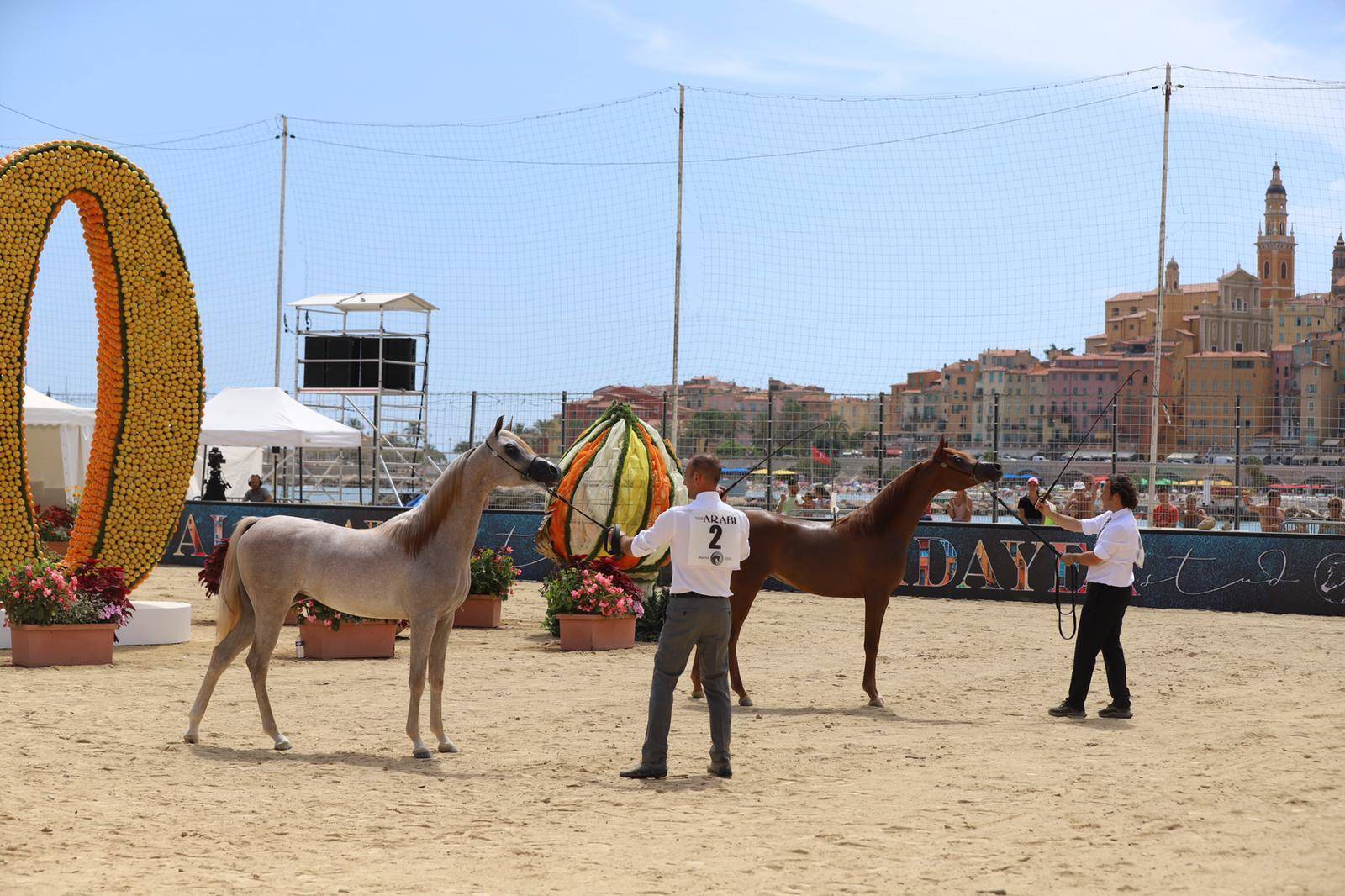 2021 Menton Arabian Horse Show 