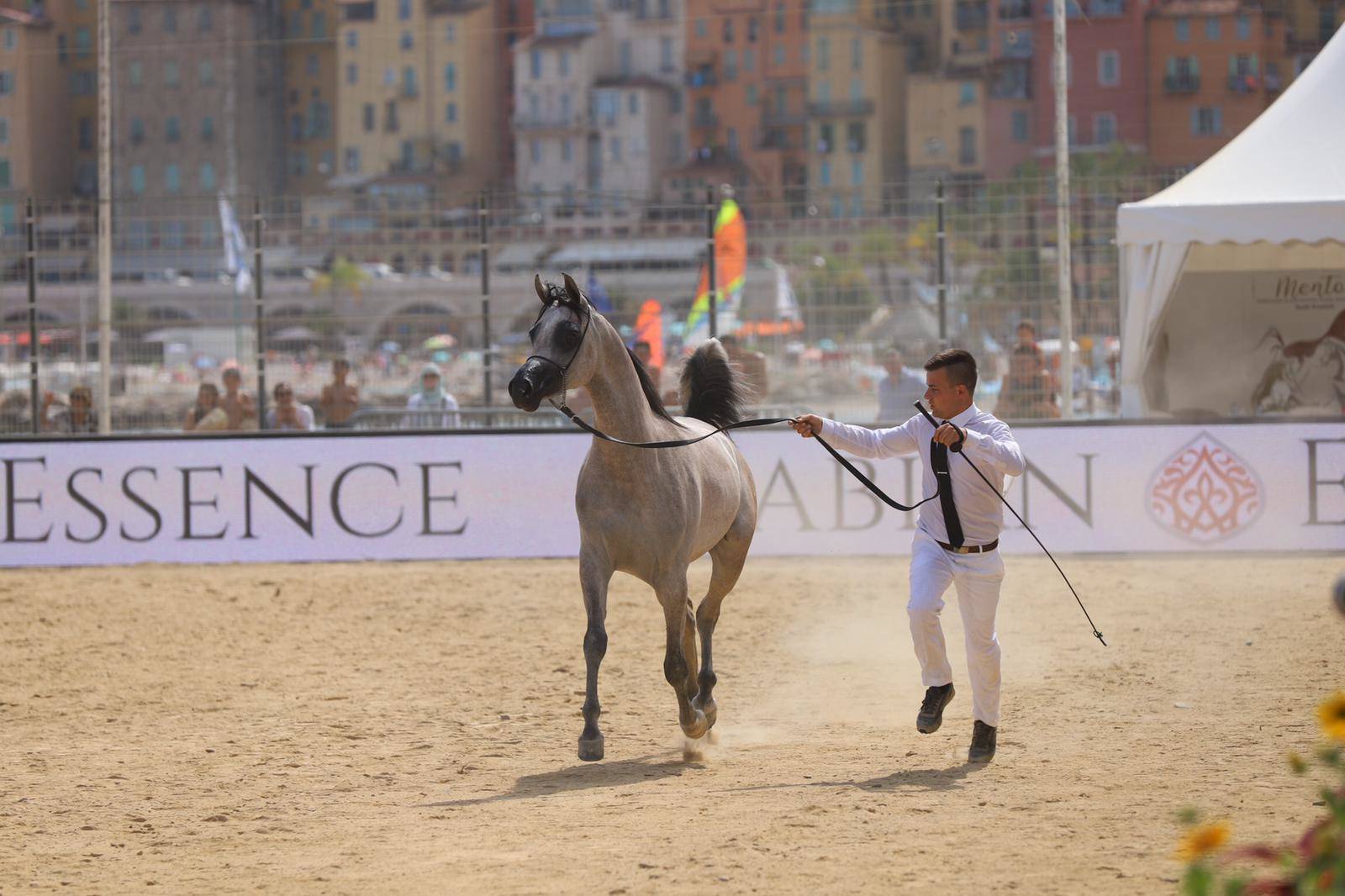 2021 Menton Arabian Horse Show 
