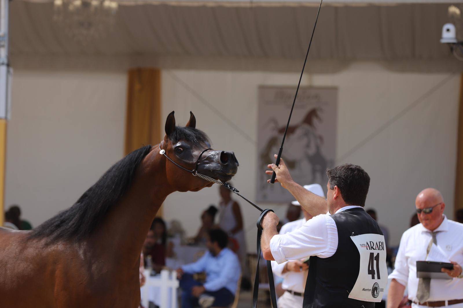2021 Menton Arabian Horse Show 