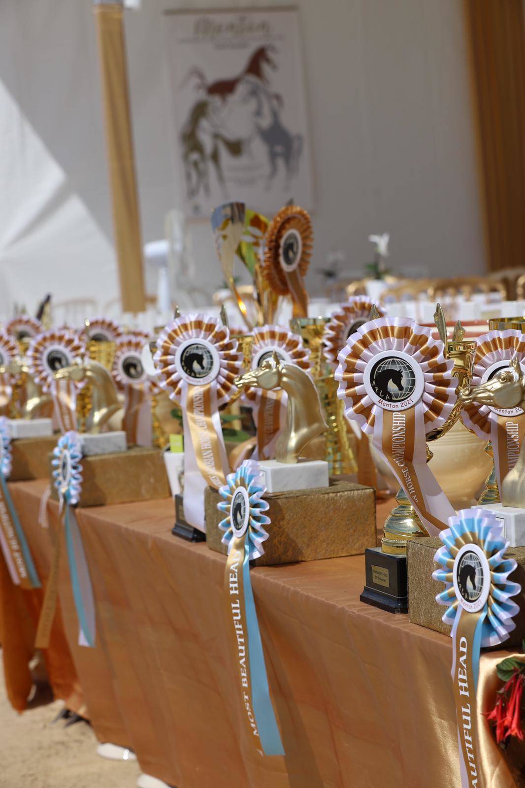 2021 Menton Arabian Horse Show 