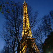 2004 France, Paris - Salon Du Cheval