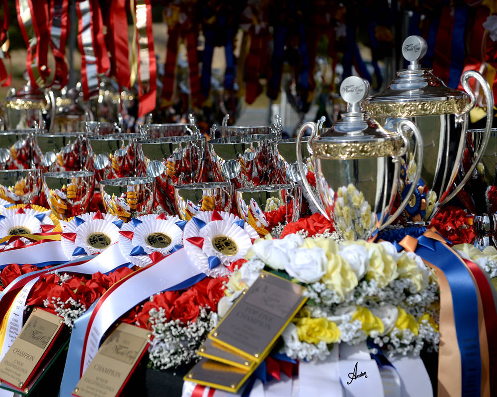 The 2021 Arabian Breeders World Cup - Scottsdale 