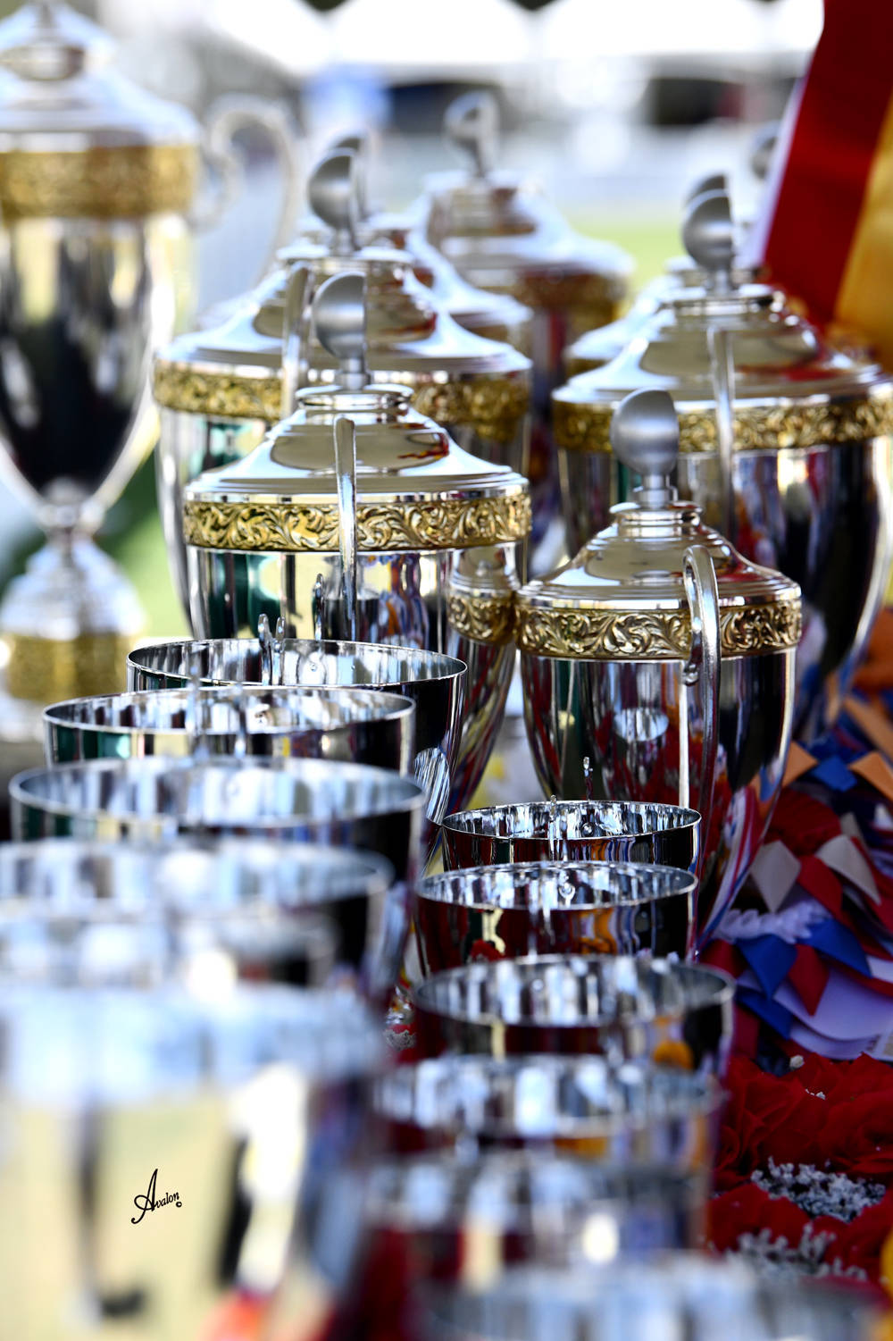 The 2021 Arabian Breeders World Cup - Scottsdale 