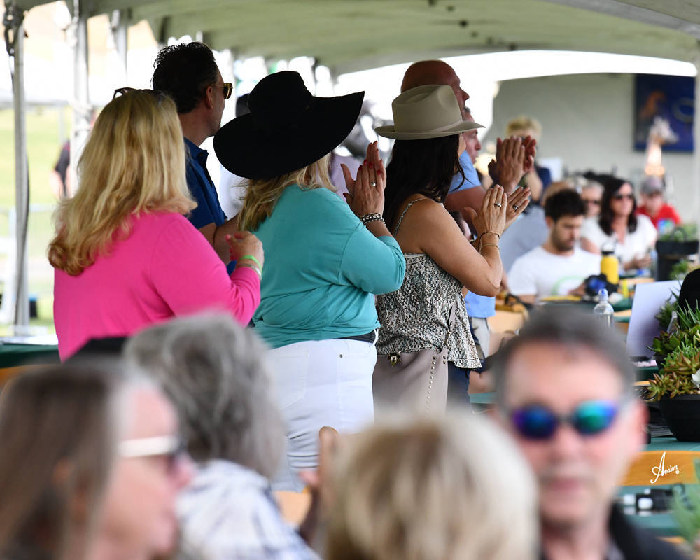 The 2021 Arabian Breeders World Cup - Scottsdale 