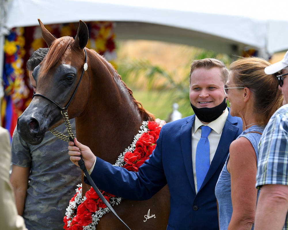 The 2021 Arabian Breeders World Cup - Scottsdale 