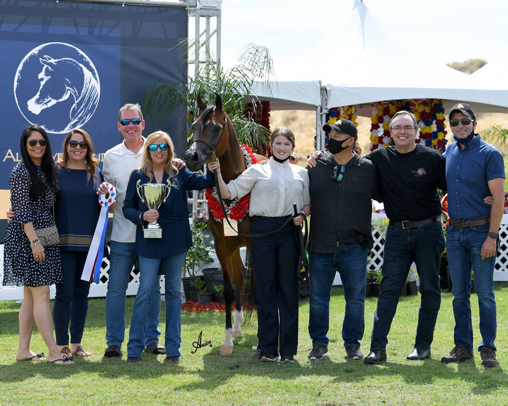 The 2021 Arabian Breeders World Cup - Scottsdale 