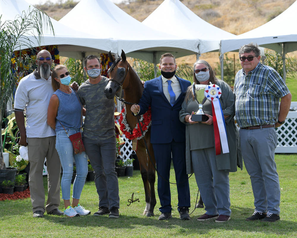 The 2021 Arabian Breeders World Cup - Scottsdale 