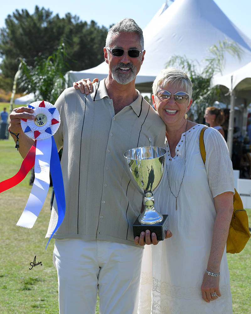 The 2021 Arabian Breeders World Cup - Scottsdale 