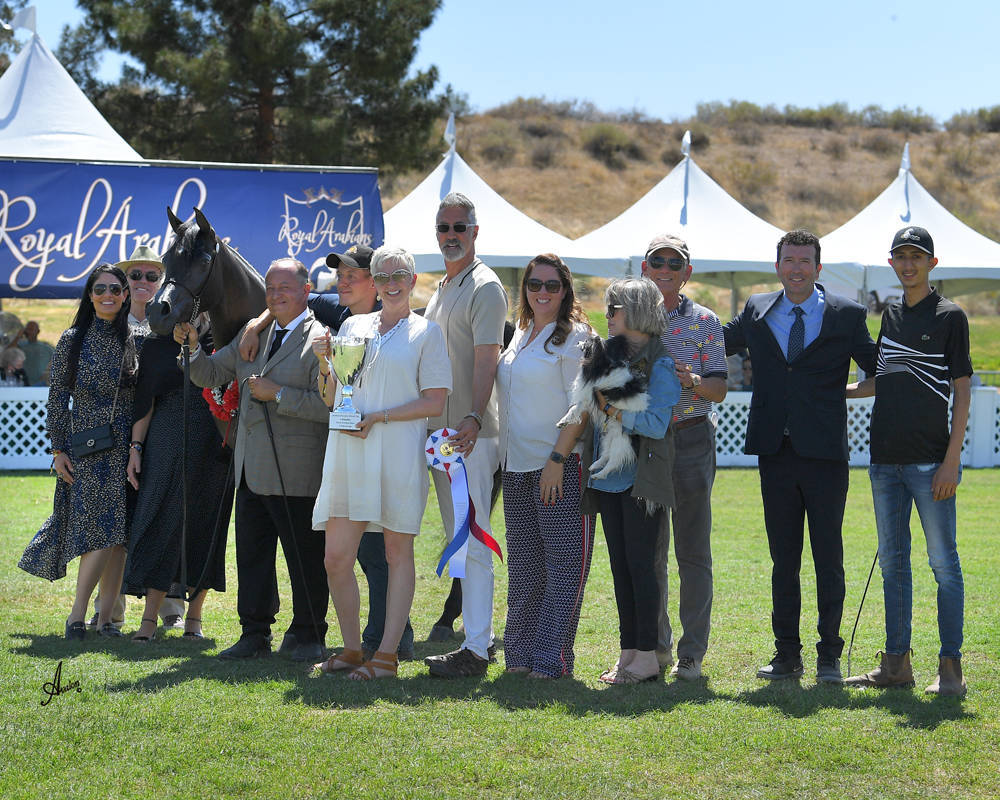 The 2021 Arabian Breeders World Cup - Scottsdale 