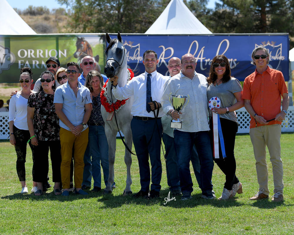 The 2021 Arabian Breeders World Cup - Scottsdale 