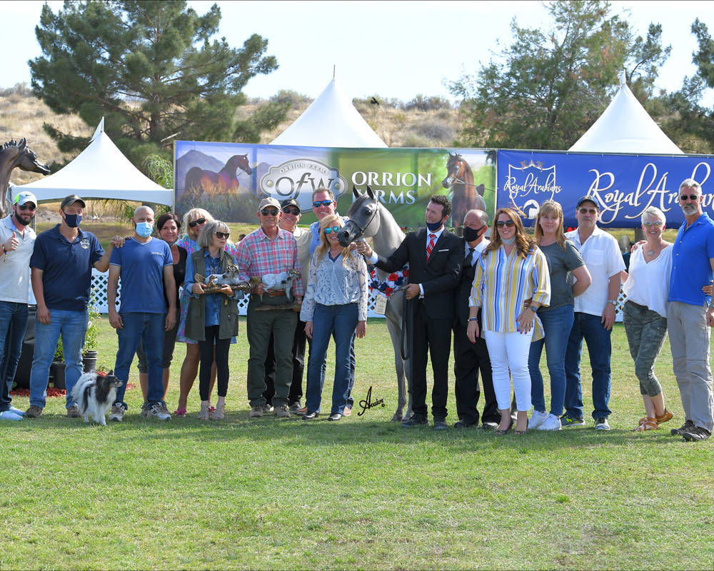 The 2021 Arabian Breeders World Cup - Scottsdale 