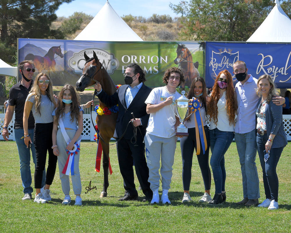 The 2021 Arabian Breeders World Cup - Scottsdale 