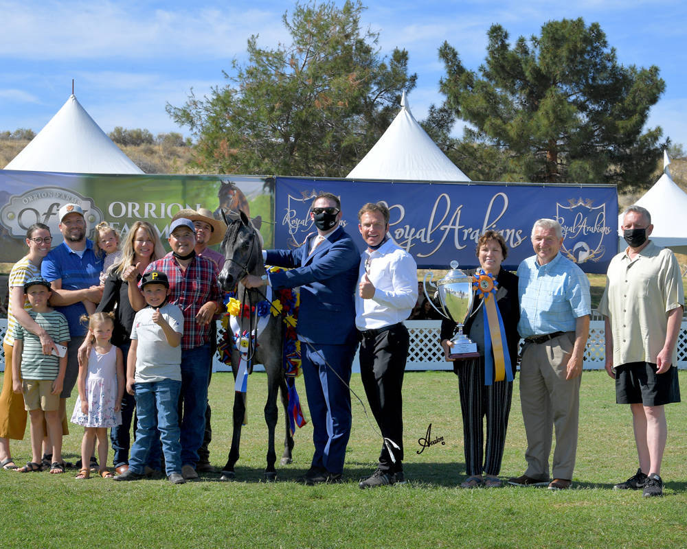 The 2021 Arabian Breeders World Cup - Scottsdale 