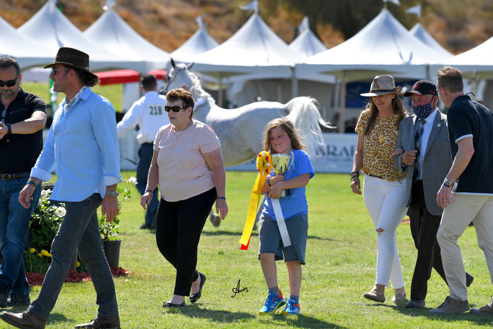 The 2021 Arabian Breeders World Cup - Scottsdale 