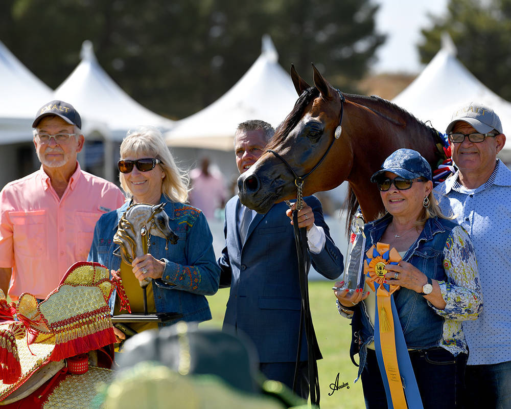 The 2021 Arabian Breeders World Cup - Scottsdale 