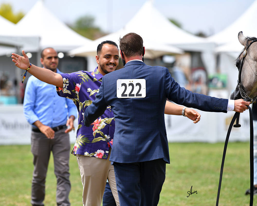 The 2021 Arabian Breeders World Cup - Scottsdale 