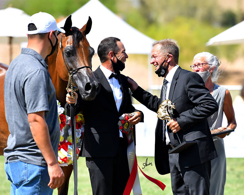 The 2021 Arabian Breeders World Cup - Scottsdale 