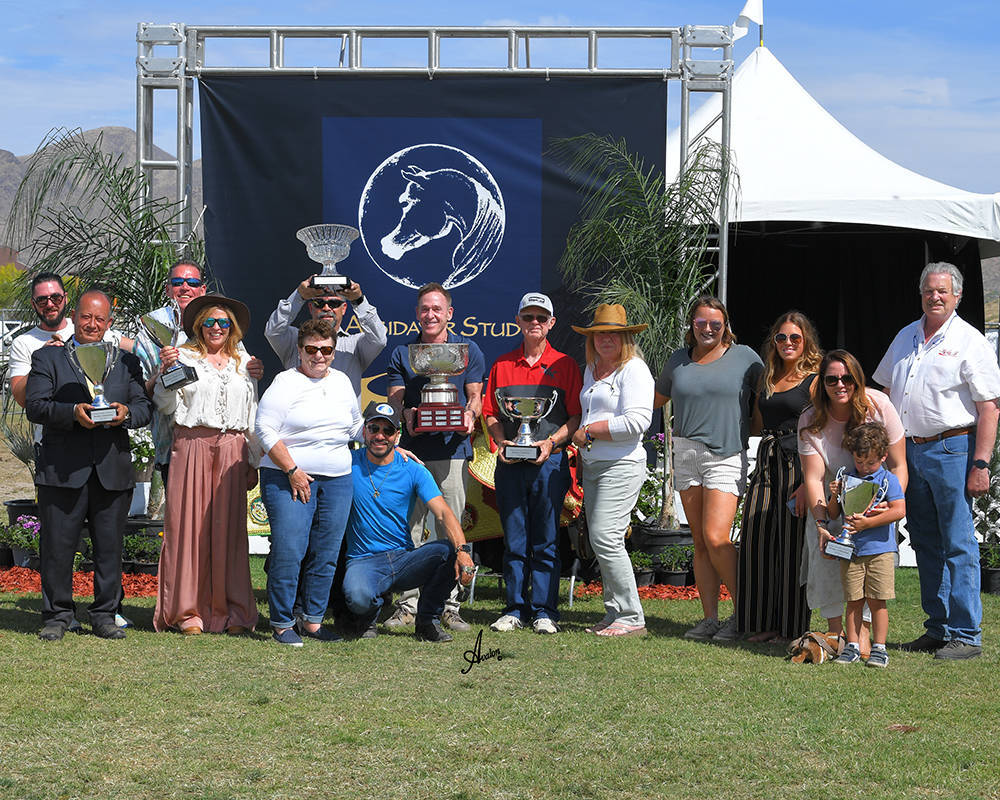 The 2021 Arabian Breeders World Cup - Scottsdale 