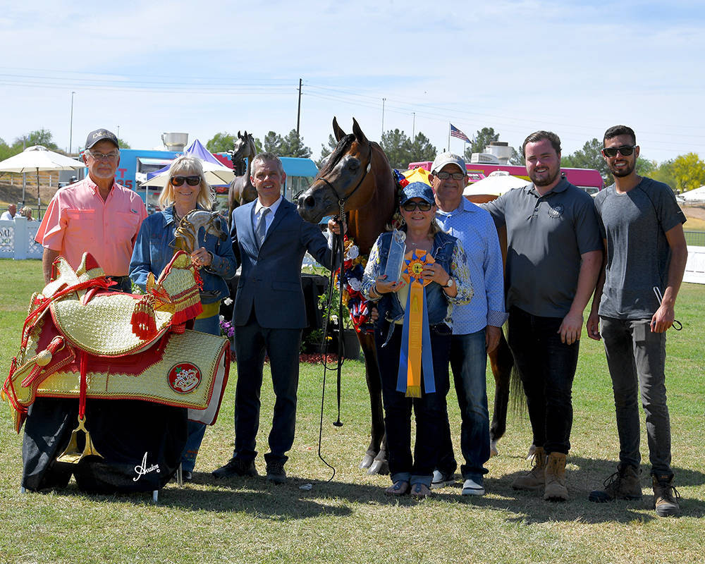 The 2021 Arabian Breeders World Cup - Scottsdale 