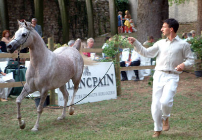 2004 Italy, Garda Lake