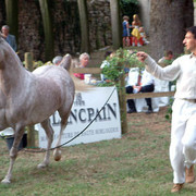 2004 Italy, Garda Lake