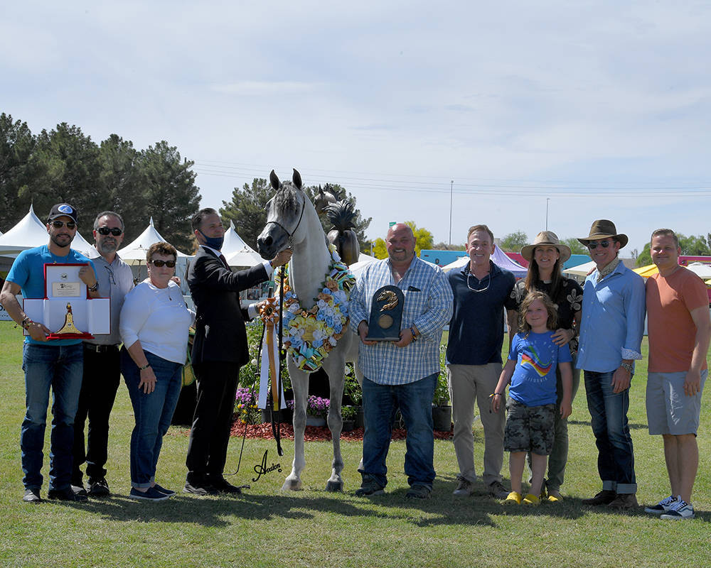 The 2021 Arabian Breeders World Cup - Scottsdale 