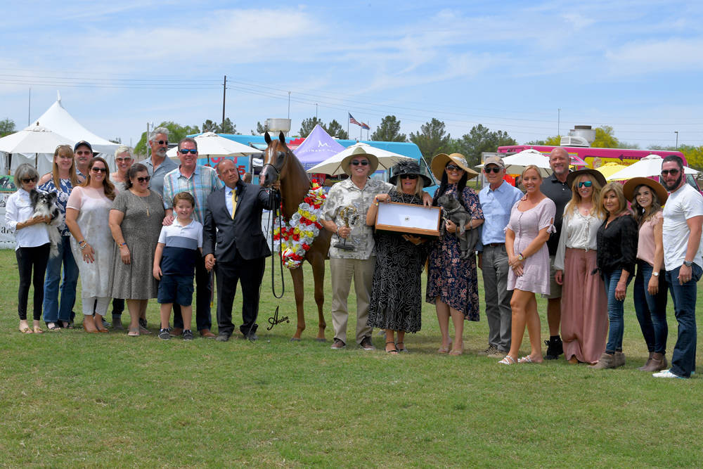 The 2021 Arabian Breeders World Cup - Scottsdale 