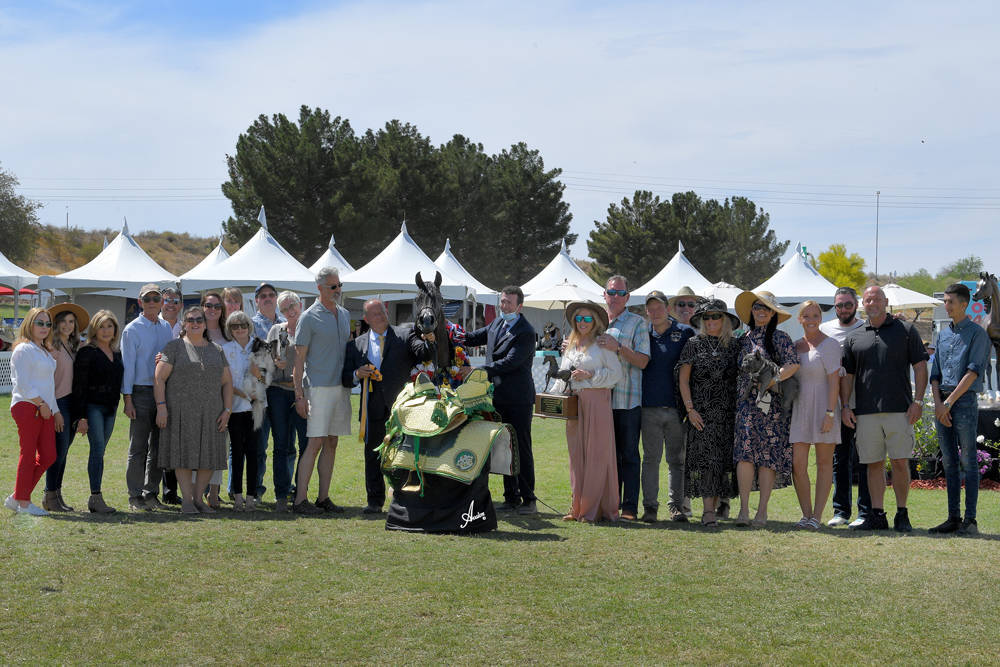 The 2021 Arabian Breeders World Cup - Scottsdale 