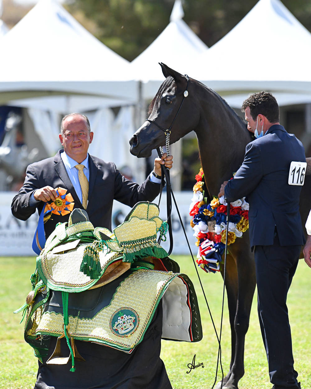 The 2021 Arabian Breeders World Cup - Scottsdale 
